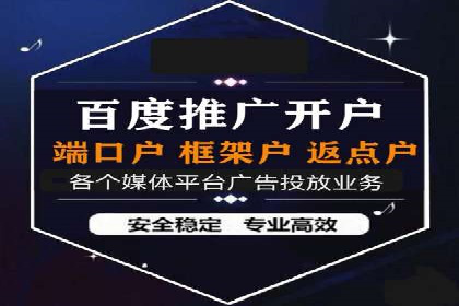 专业SEM服务公司案例分析报告